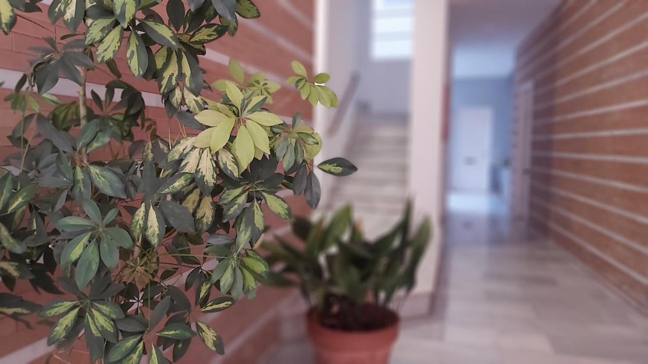 Del Parque Flats Catedral Exclusive Apartment Malaga Luaran gambar